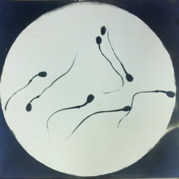 Ivanov_Spermatozoa study